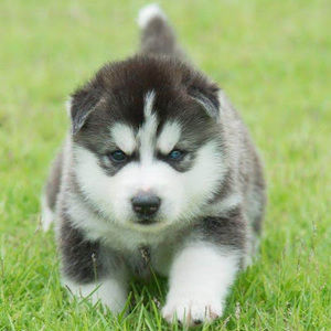 Meet your Posher, Alivia